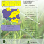 Obrazek 3 Mapa Obrazek 3 Mapa