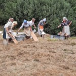 Praca w polu Praca w polu