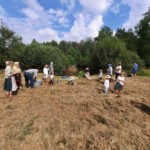 Praca w polu Praca w polu