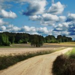 Henryk Oleszczuk - polna droga pod chmuram Henryk Oleszczuk - polna droga pod chmuram