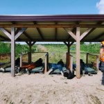 IV Otwarte Mistrzostwa Powiatu Bialskiego w konkurencjach kulowych