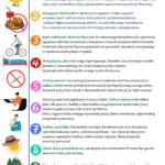 Ulotka Zasady zdrowego stylu życia Ulotka Zasady zdrowego stylu życia