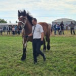 Nagrodzony Koń Nagrodzony Koń