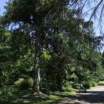 Ławeczka w parku Ławeczka w parku