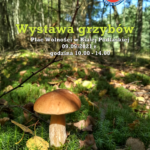 Wystawa grzybów w Białej Podlaskiej Wystawa grzybów w Białej Podlaskiej