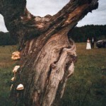 Andrzej Ruciński Andrzej Ruciński