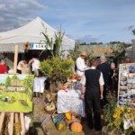 Dożynki Powiatowe Dożynki Powiatowe