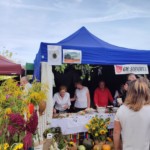 Dożynki Powiatowe Dożynki Powiatowe