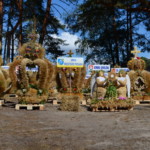 Dożynki Powiatowe Dożynki Powiatowe