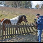 Podlaski Przełom Bugu Podlaski Przełom Bugu