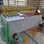 Zdjęcie prezentujące puchary i medale Zdjęcie prezentujące puchary i medale