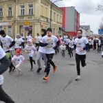 Uczestnicy w trakcie biegu Uczestnicy w trakcie biegu