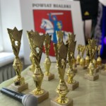 Powiatowe Prezentacje Wokalne Powiatowe Prezentacje Wokalne