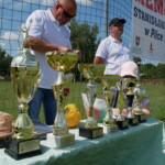 Puchary dla drużyn uczestniczących w rozgrywkach Puchary dla drużyn uczestniczących w rozgrywkach